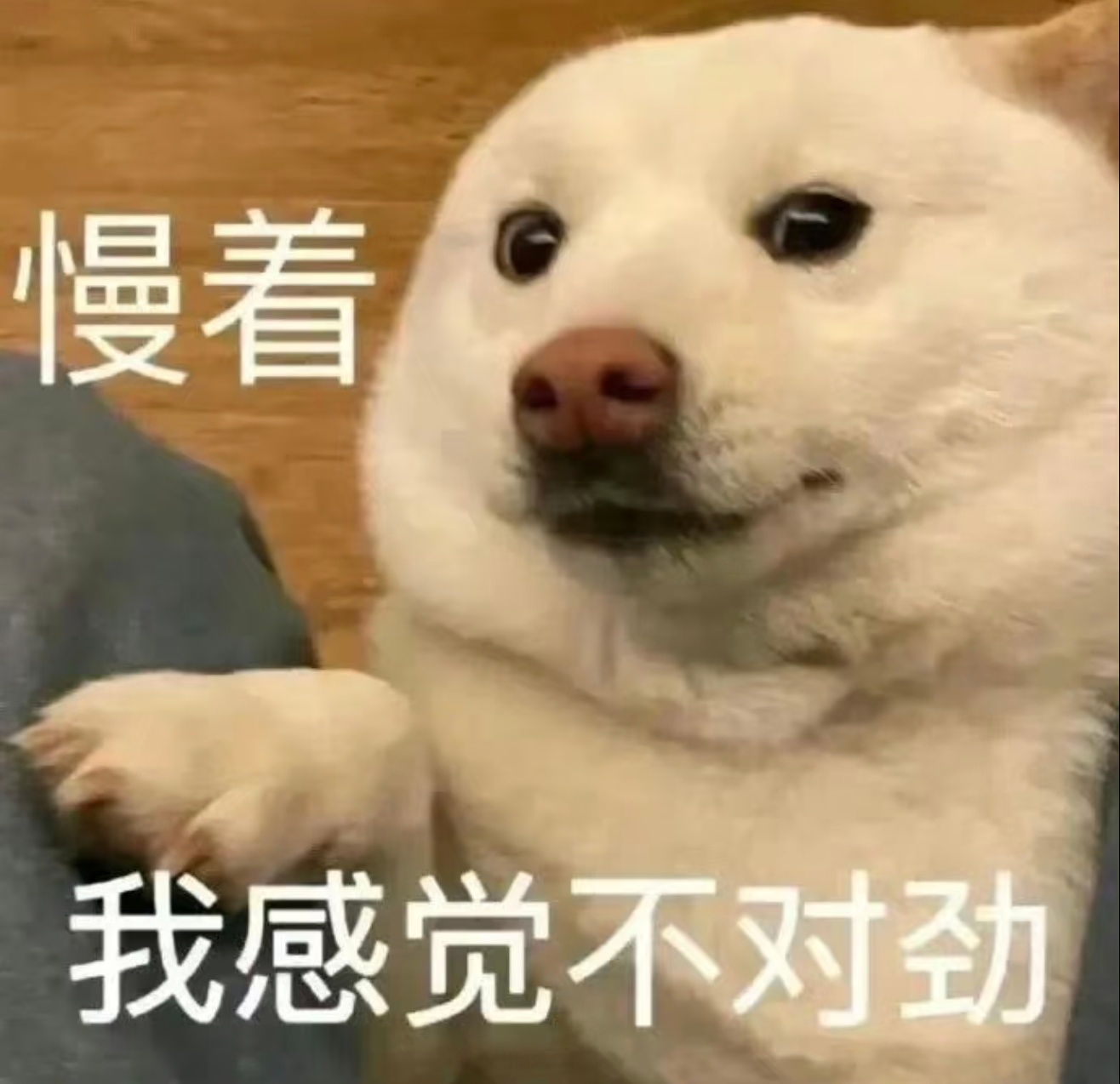 范曾宣布与女儿继子断绝关系 上午那个说喜获独子的话题听上去就有点奇怪，下午又要跟