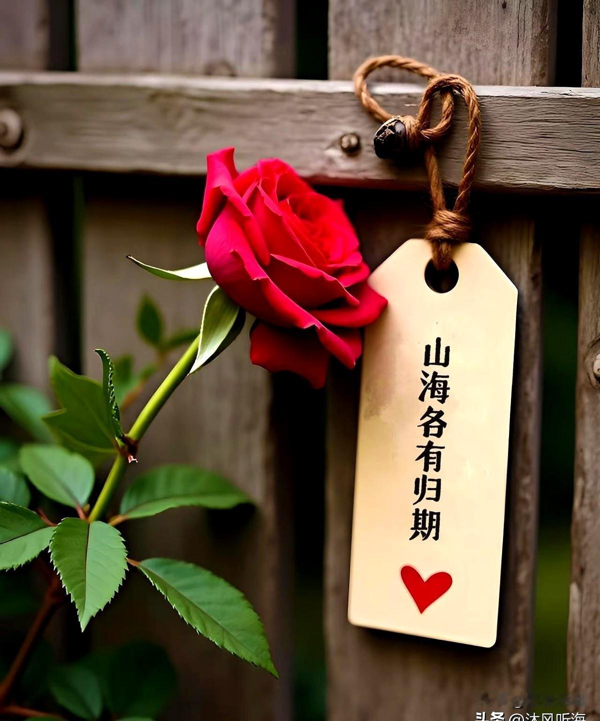 我去寺庙做义工，一开始我可来劲了，想着来寺庙做义工就是积德行善，打扫卫生恨不得趴
