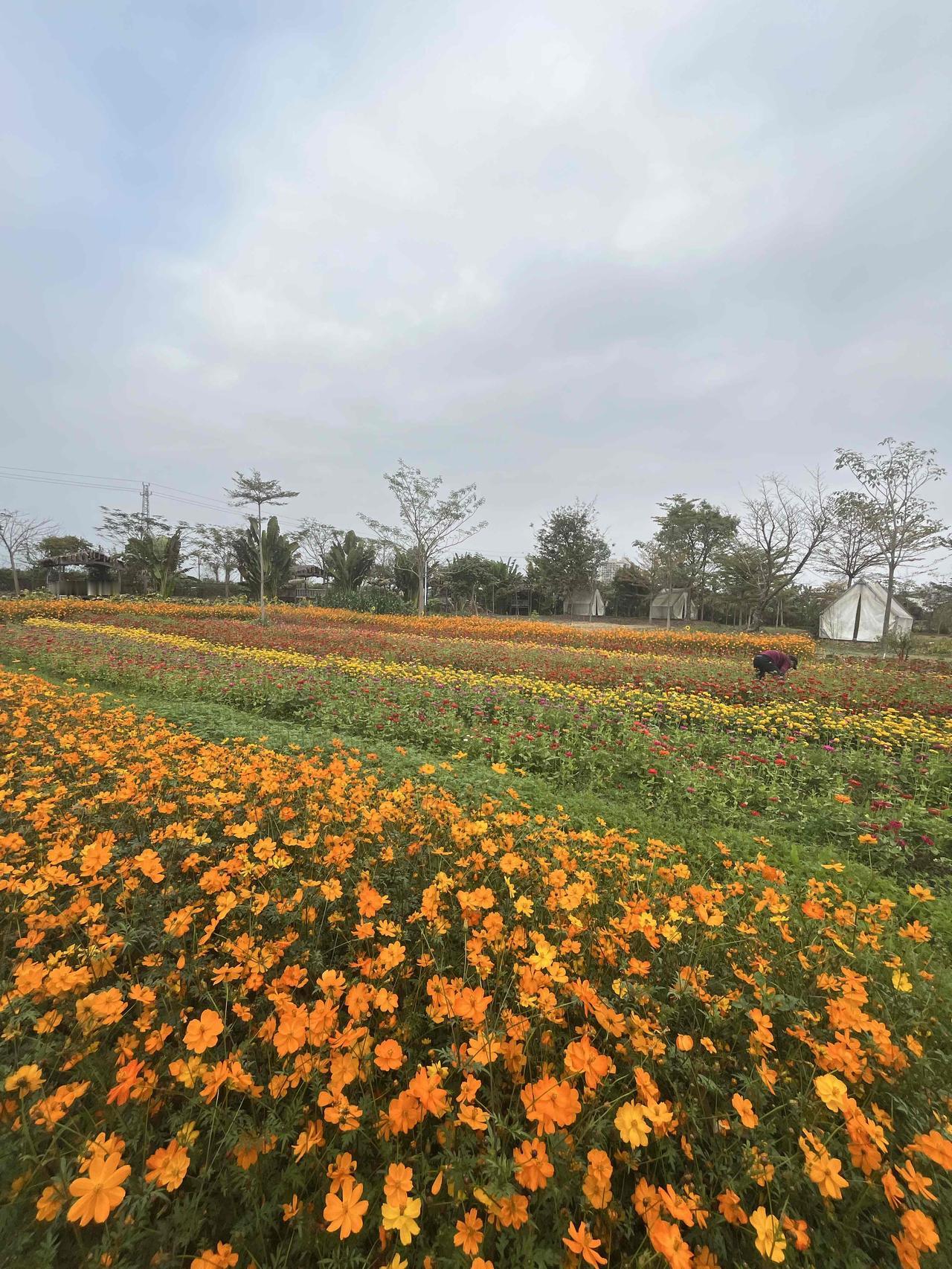 越往南方，年味越浓；潮汕又是年味天花板。殊不知年味这东西特花钱，潮汕地区各种习俗