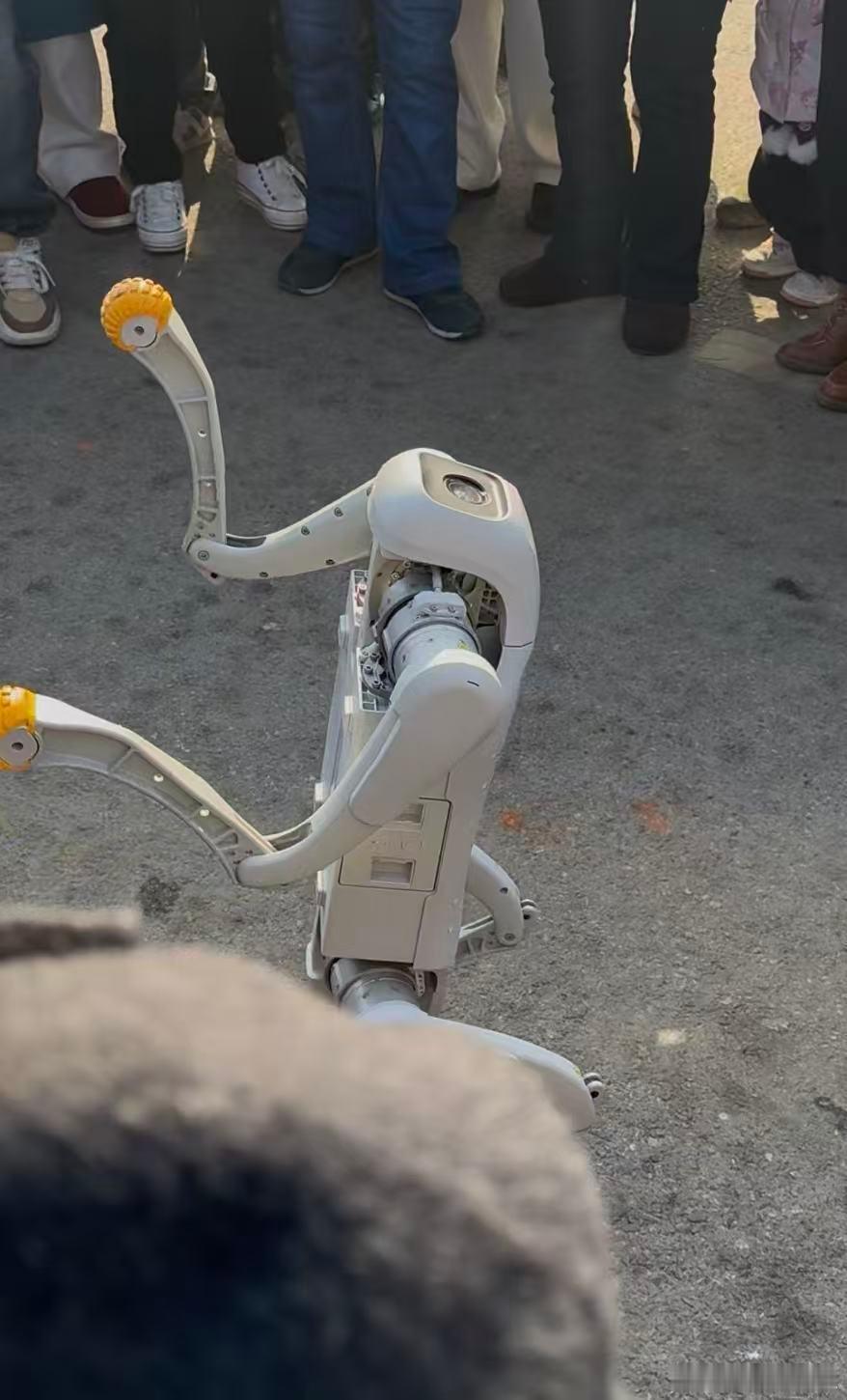 第一批回村的机器人在村里教太极江苏宿迁光明村的机器人太厉害啦，领大爷大妈打太极动