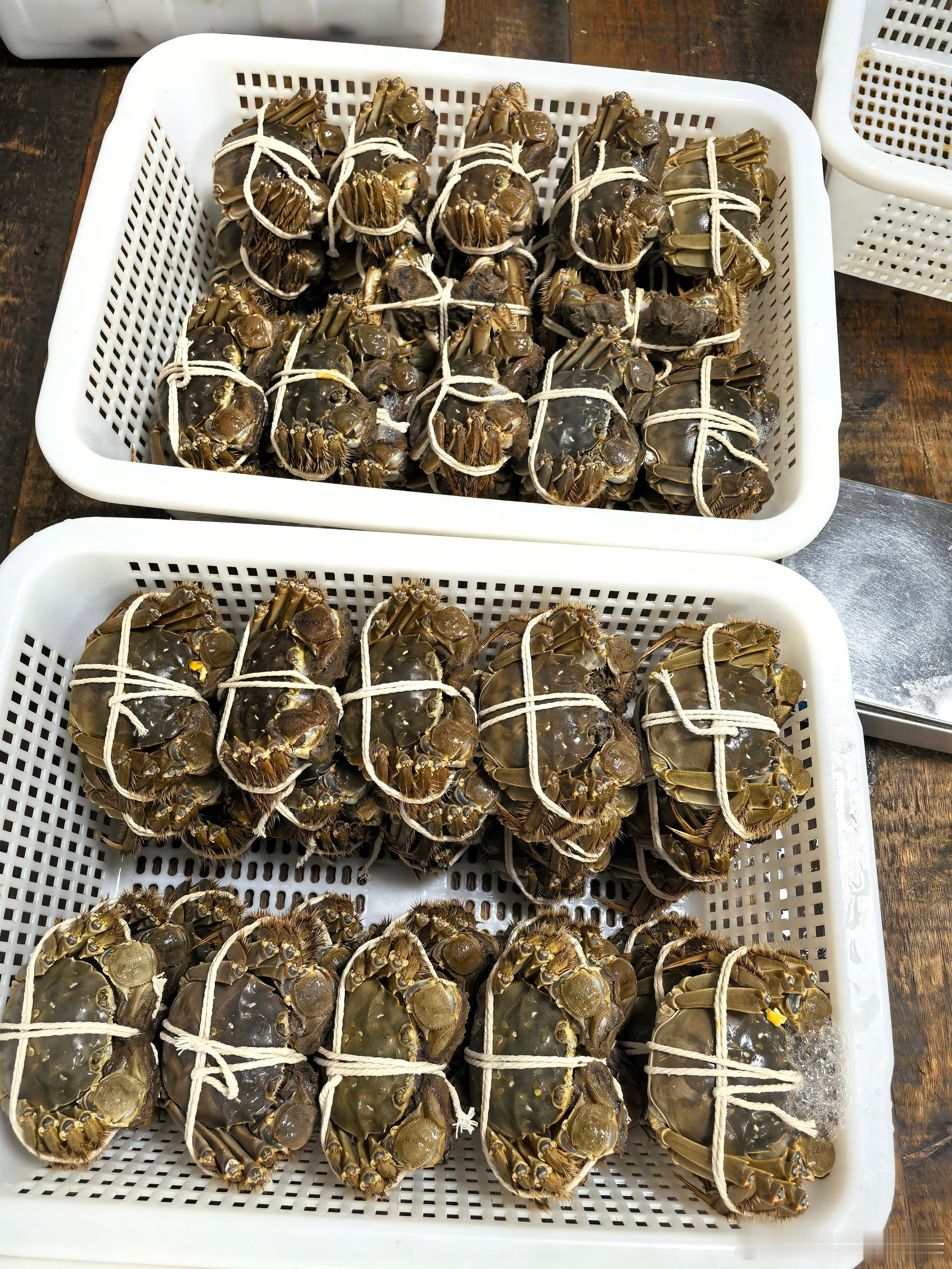 赶一个超级大佬送礼早班车，都是有钱才能消费系列棒棒哒！双11母蟹免费升级一档，比