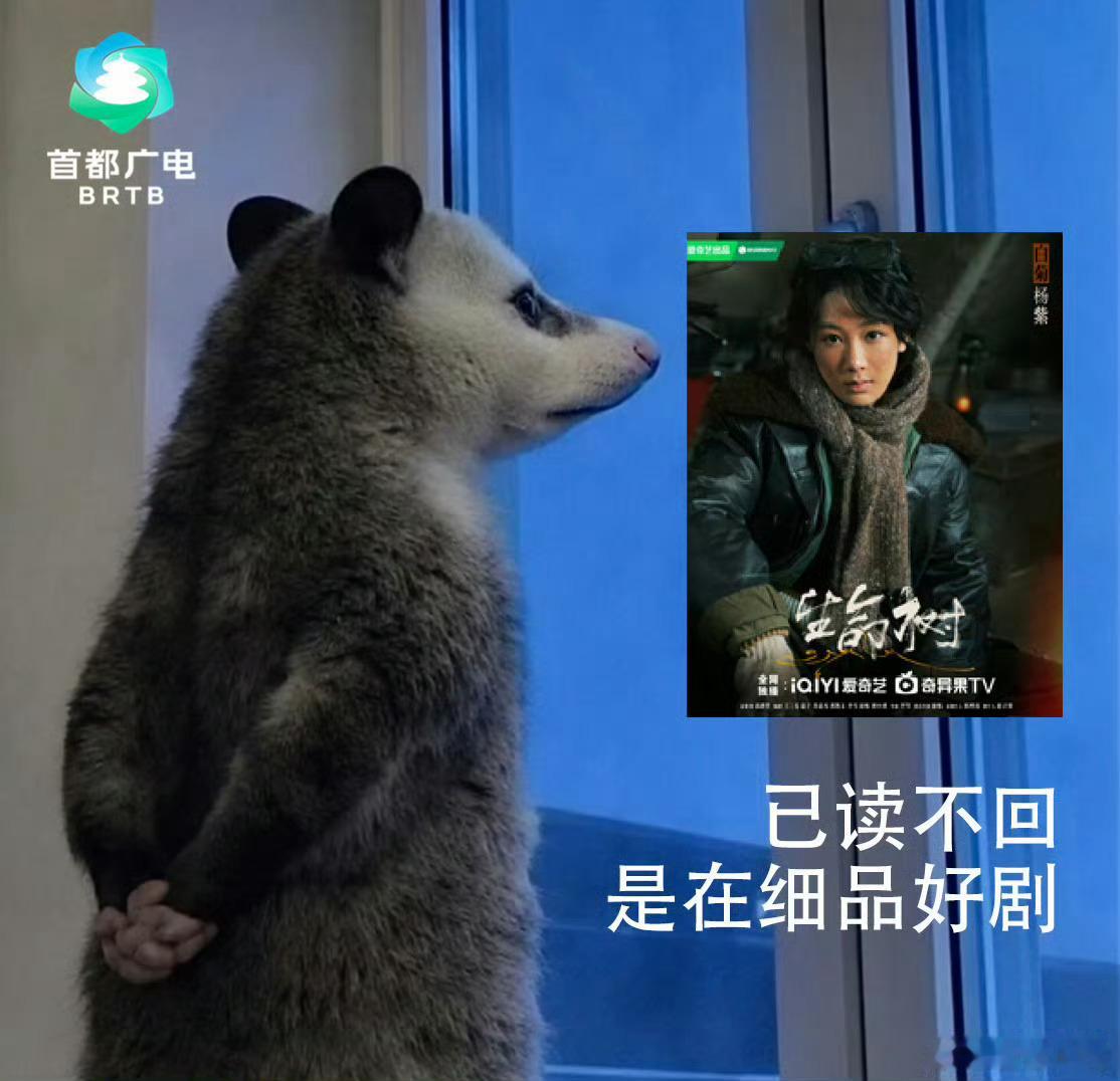 哈哈哈哈哈哈一张图两个剧梗首都广电是一个祥和的生命体 