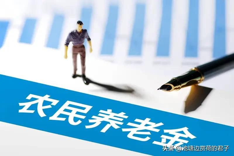 我支持农民领退休金。现在老龄阶段的老农民儿女少，靠传统养老不现实。过去农民经历很