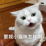 瑶悦爱看社会