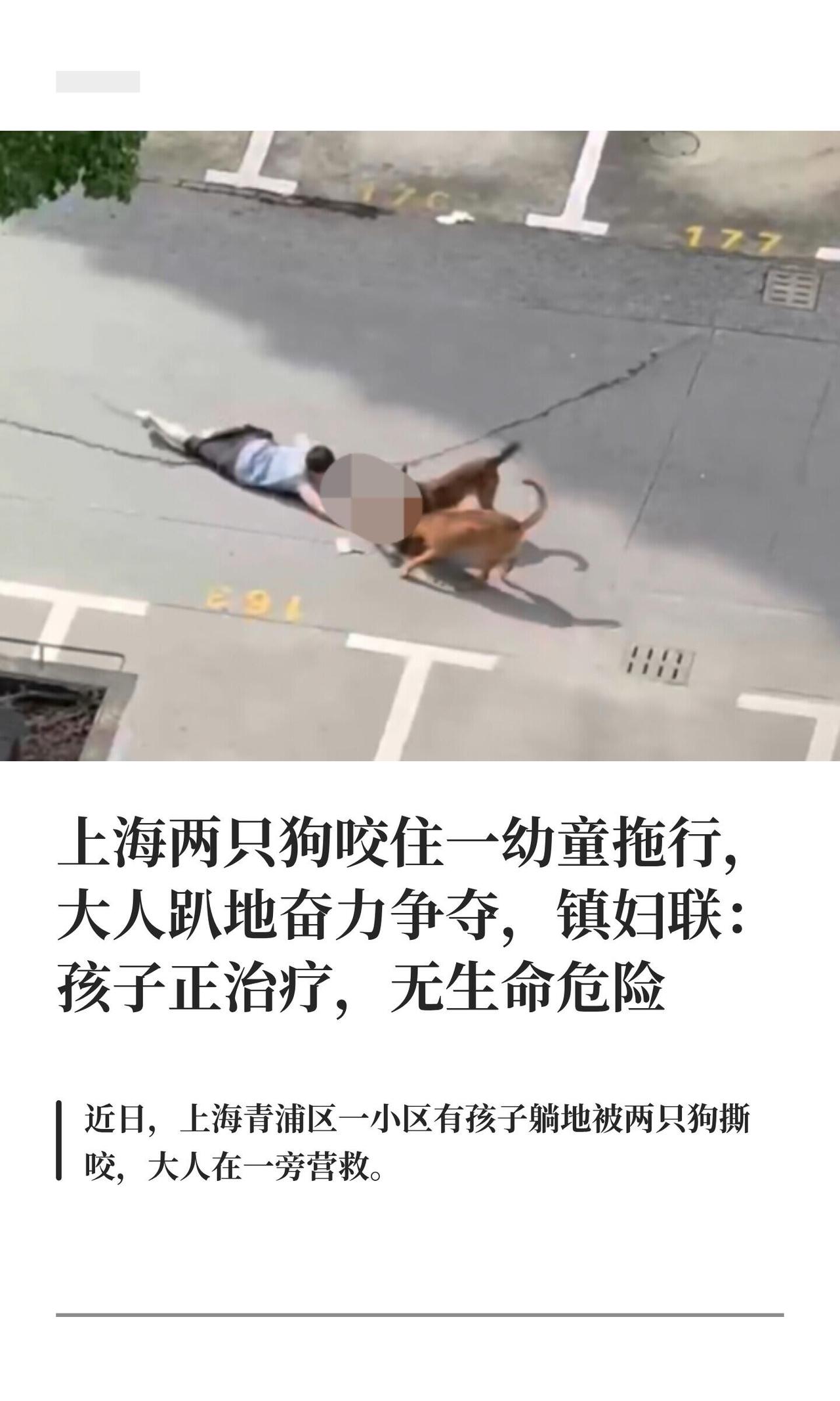 7月7日，上海青浦一小区出了件吓破胆的事。一只孩子被两只狗死死咬住，长辈趴在地上