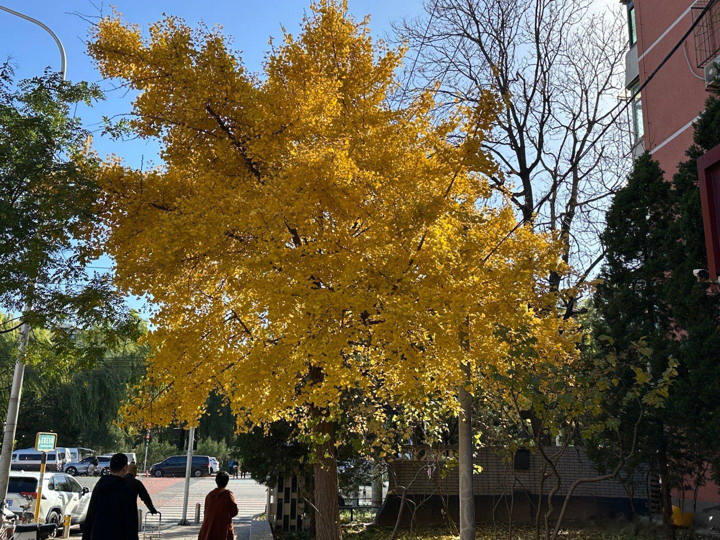每日‎一善 👏👏👏阳光信用以热爱祖国为荣、以危害祖国为耻。以服务人民为荣、