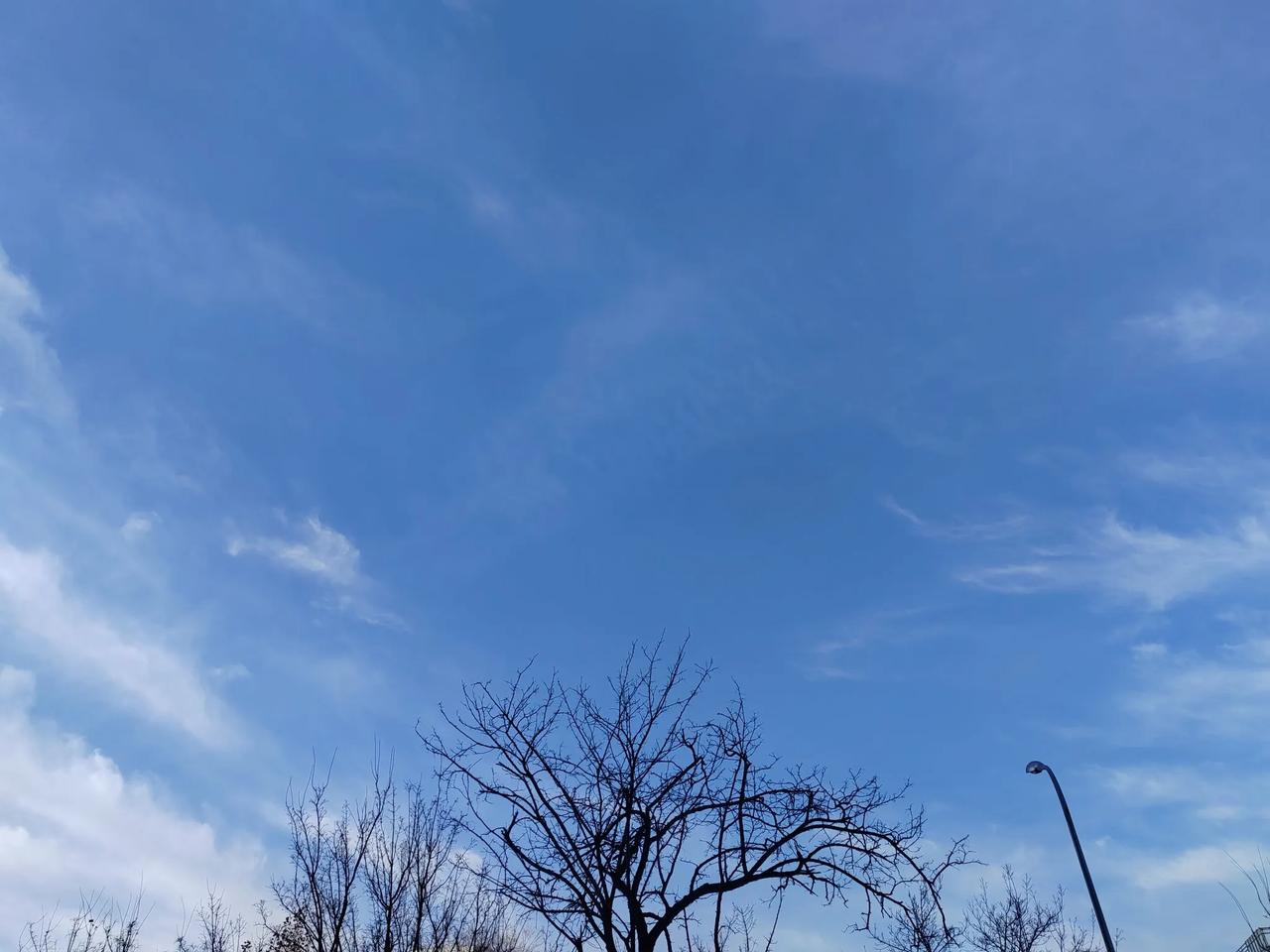 昨天和今天的天气，也不像污染呀，多好的天。