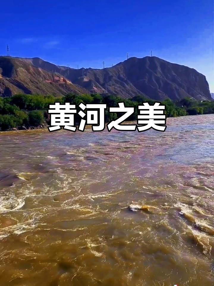 黄河文化是中华文明的主根主脉，以海纳百川的包容性、百折不挠的延续性，构筑起深厚的