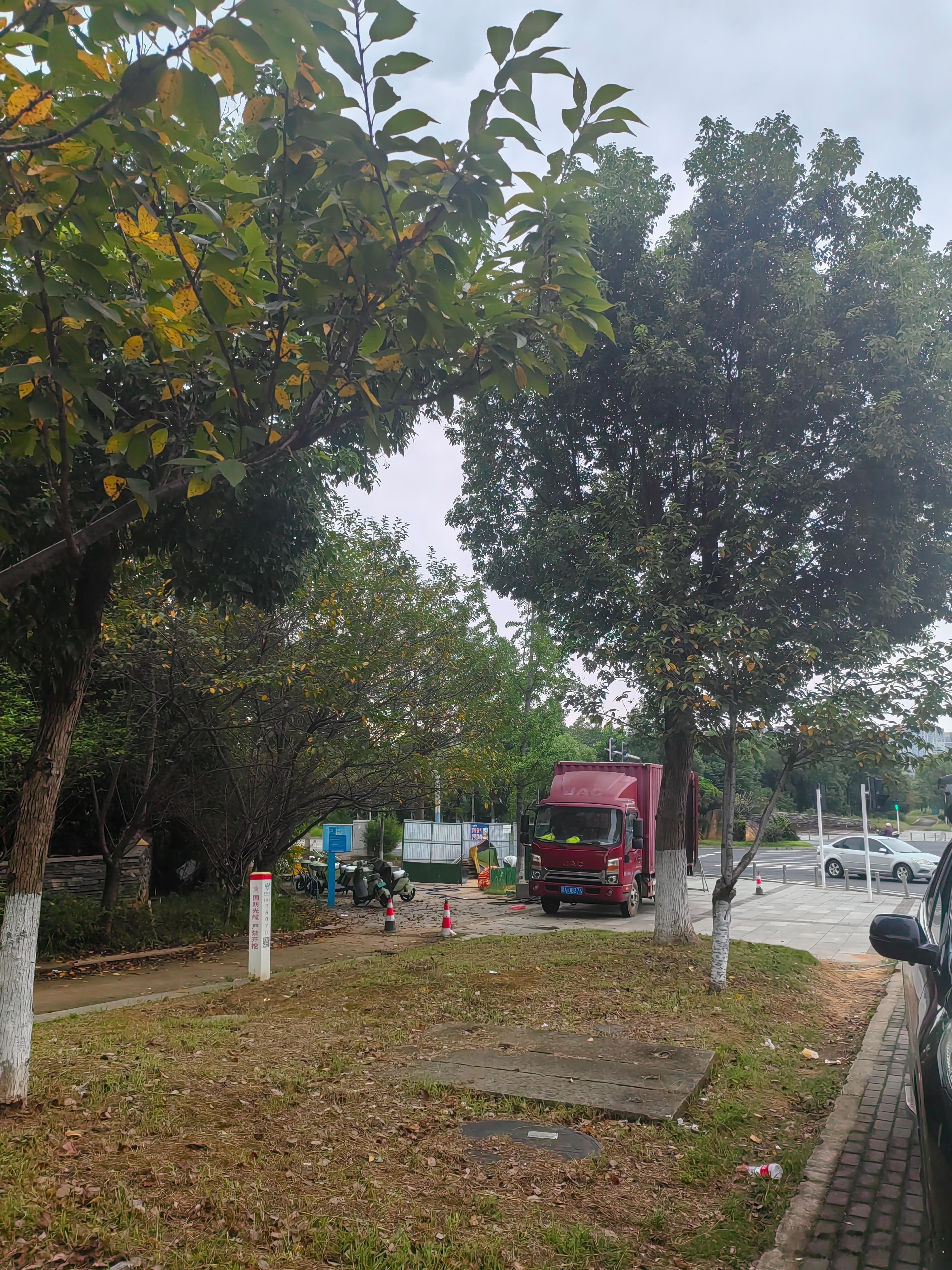 认知 接着来参加比赛，然后非法滞留，瑞，典，白，种拉机【赶紧衮回去】还在公园上面