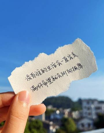 “  漫漫人生路，总要错几步，  走不出昨日的坎，  便看不见坦荡的路。” 