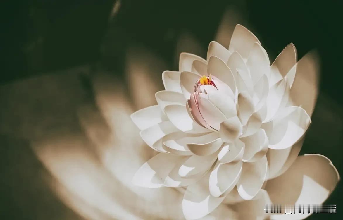 乡下办白事，规矩大得很。千万别披麻戴孝串别人家门，轻则挨骂，重则挨打。

前天，