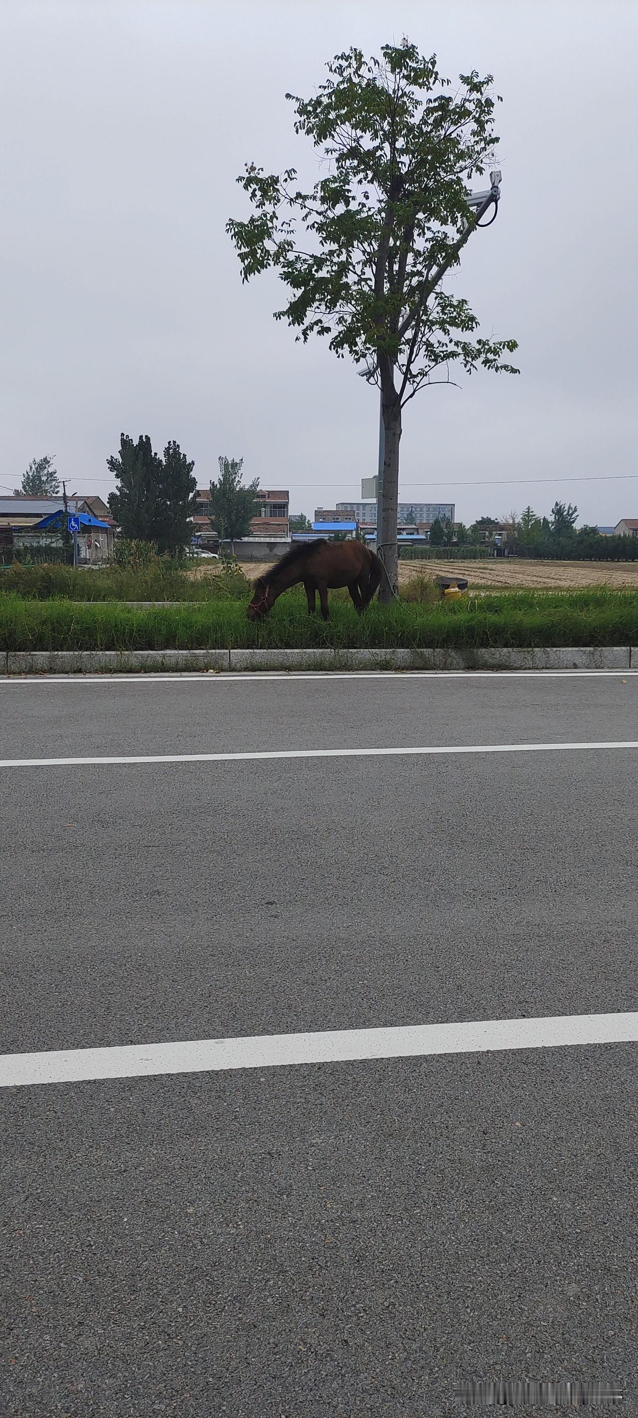 瑞士瓦莱州克朗-蒙大拿的一家酒吧1月1日发生爆炸，并引发火灾，已造成十人死亡，近