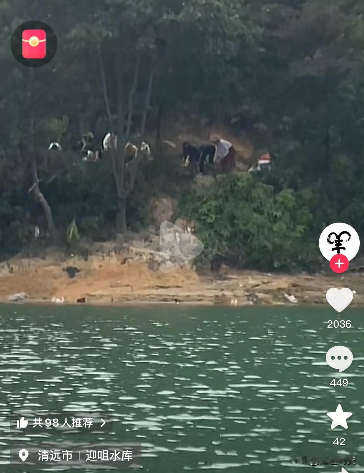 广东清远，一男子拍摄有人在水库放生了大量的野猫，水库周边十几公里没有人居住，而且