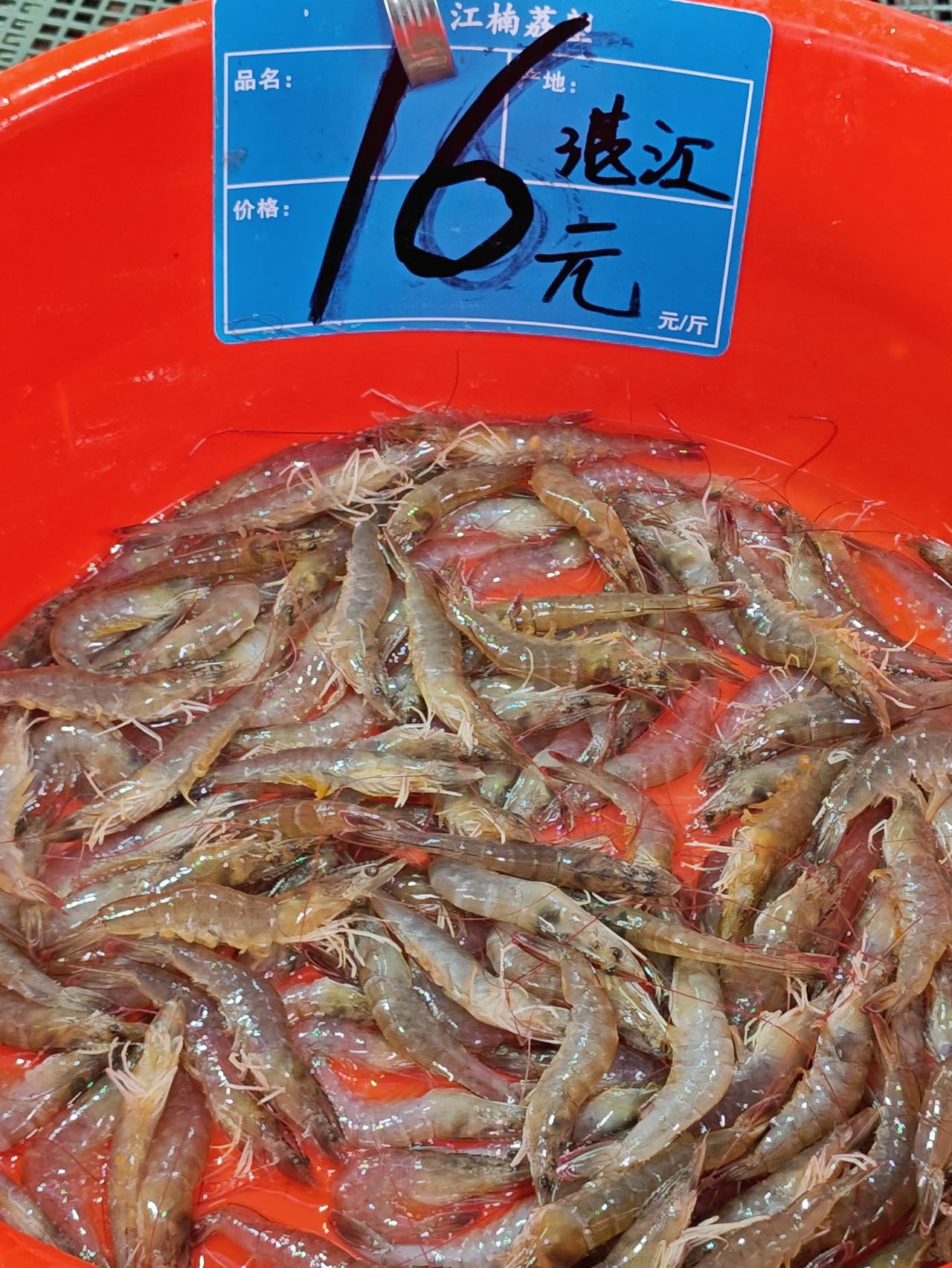 养殖南美白海虾16元，略小河虾135，广州荔塱