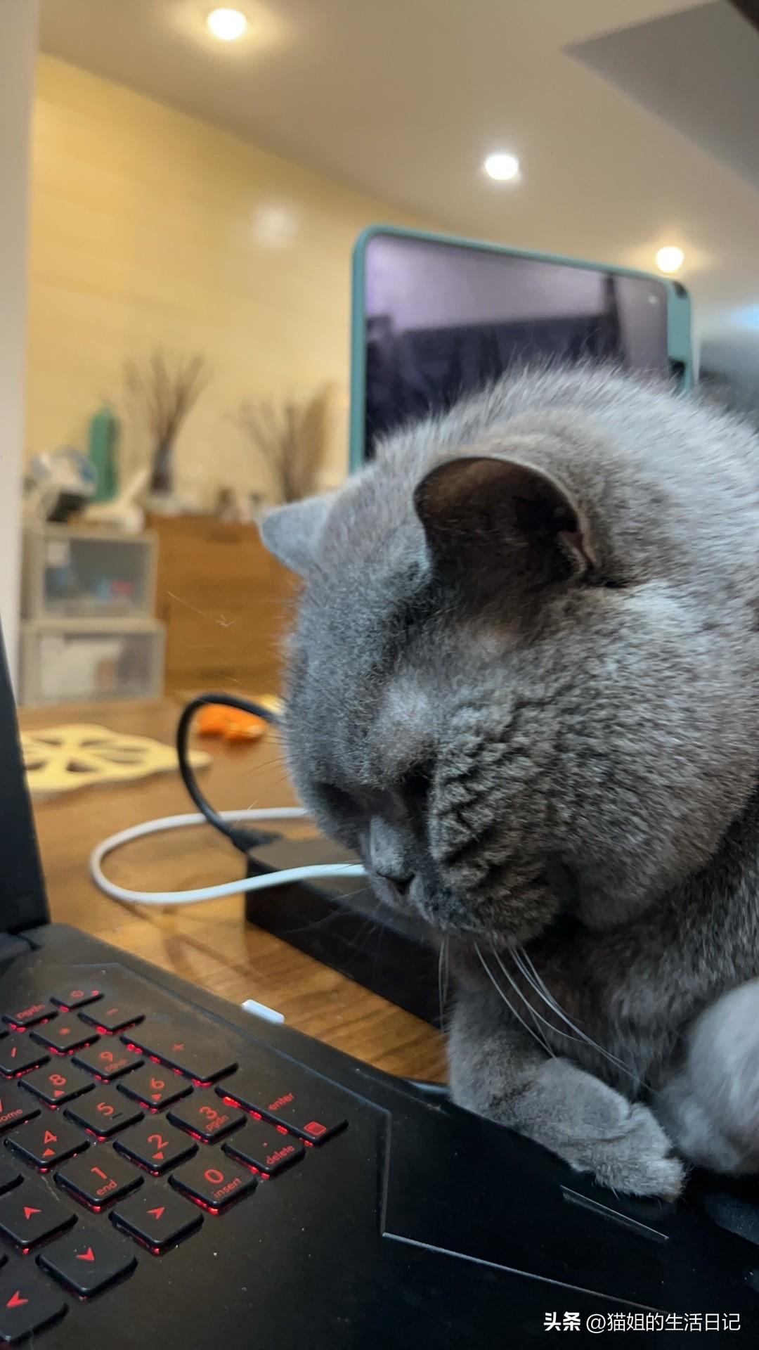 马上要踏上2026年的旅行啦，第一站锁定顺德，但说真的，这趟旅程的“重头戏”不是