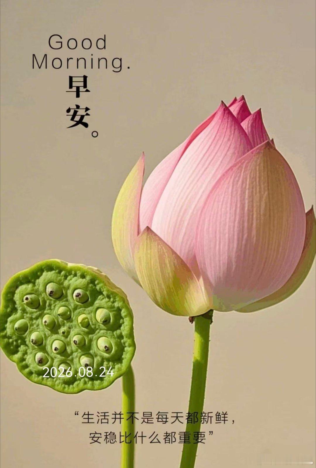 早上好，周一到了，又是崭新的一周，慢慢来别急 北京