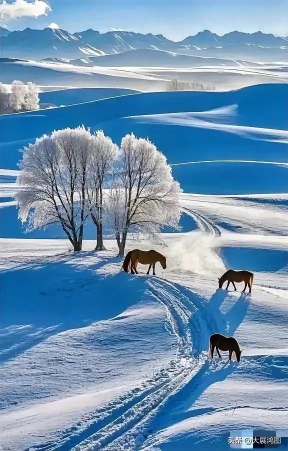 雪原雾凇马群
莽莽雪原暮霭悠，雾凇玉树映寒丘。
若花瑞雪凝枝杪，似练清光落树头。
