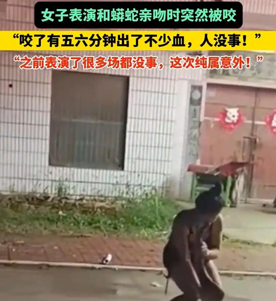 “多场表演无意外”！可动物始终是动物，其行为是无法完全掌控的！

近日河南商丘的