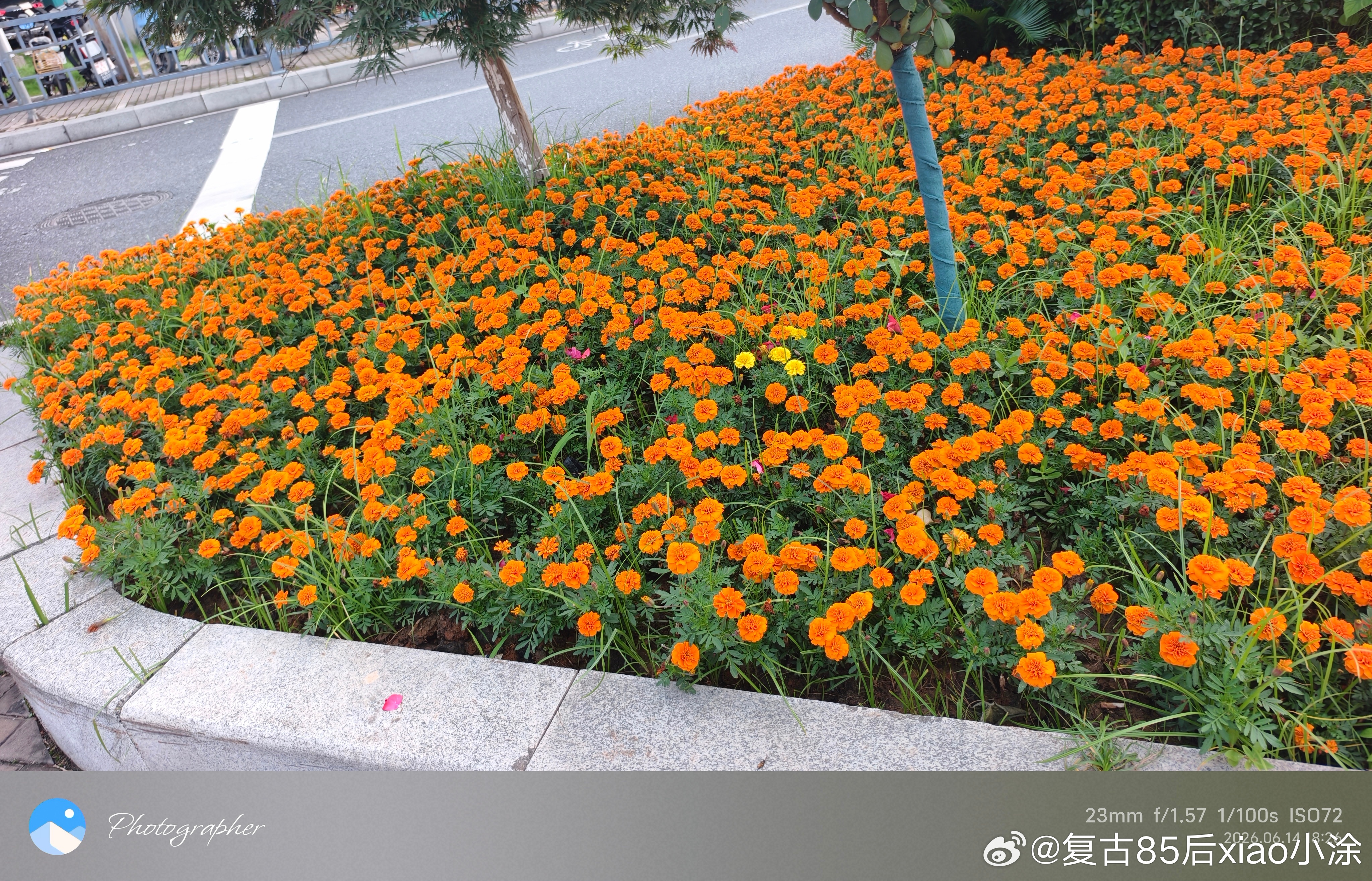 十点读书拒绝就是一种权利，你那么好说话，又有谁能体谅你…… 