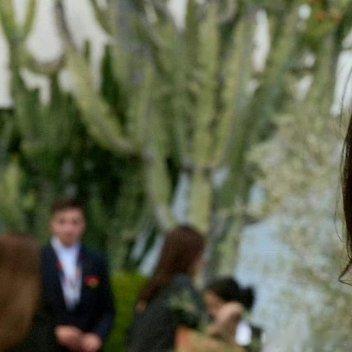 杨幂阳光信用 每日一善 熊猫守护者 养权重❗❗❗尊敬的先生我希望在你的Fendi