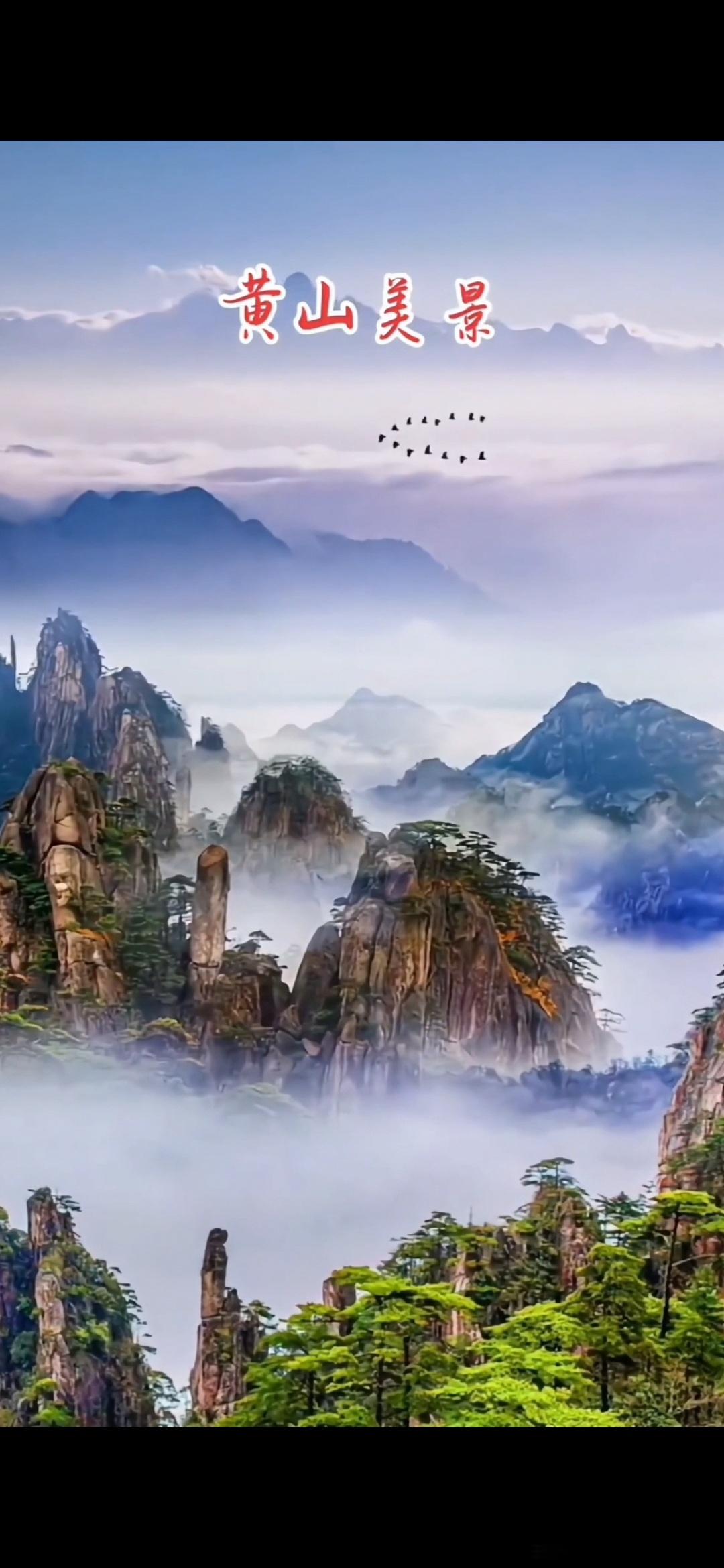 #情感#              《无题》淡云孤雁远，荡漾空沙际。晚遇何足言，