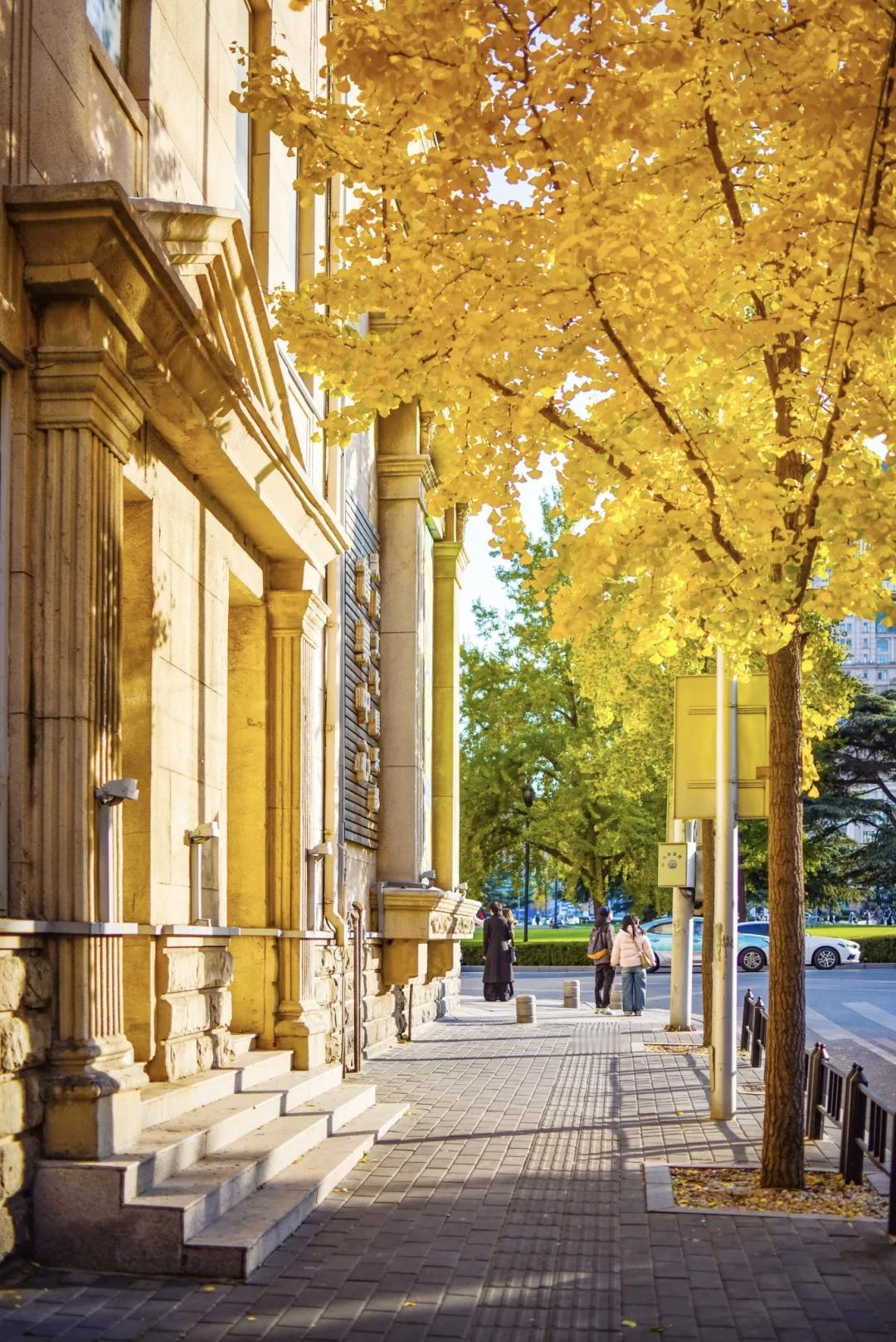 【你有多善良，就有多幸运；做了多少好事，就会得到多少庇佑；吃了多少亏，就有多少福