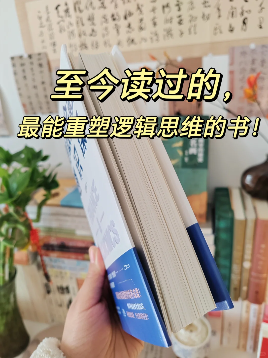 想搞钱，翻烂这一本书就够了❗