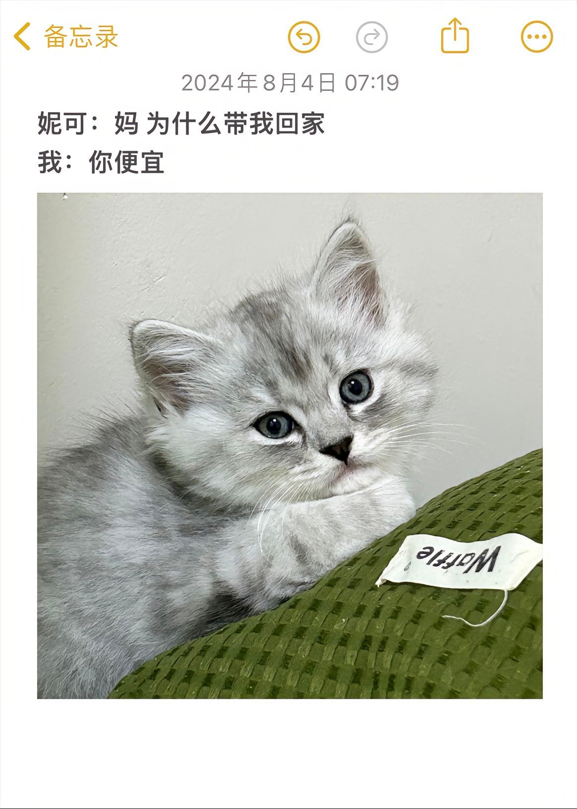 “我和小猫的故事”#萌宠##猫##猫咪# ​​​