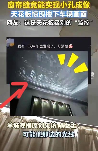 湖北武汉这位女子午睡时，无意间撞见了超治愈的一幕。

因为阳光太刺眼拉上窗帘，没