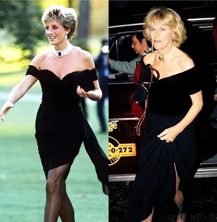 “东施效颦”的卡米拉，终究成了一个笑话！
想复制戴安娜，卡米拉是真的敢想呀！
黑