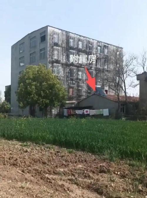 村支书盖了栋大厦，网友给取名叫123大厦，名字很响亮，也难怪会引起注意，成为网红