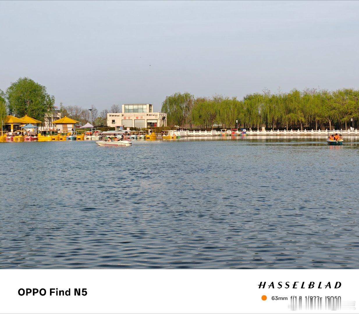 雄鹰科技欣赏美景 