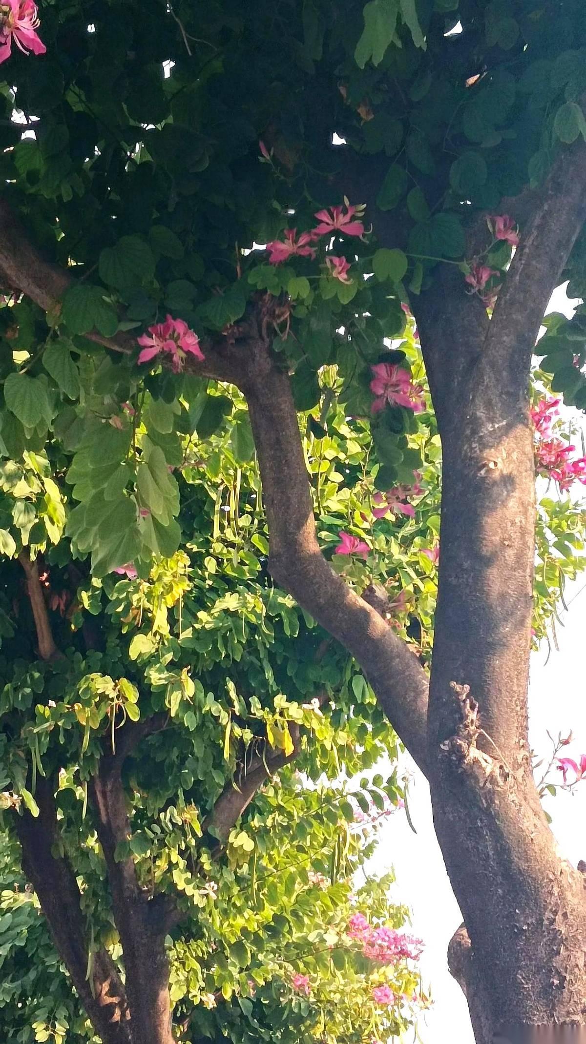 石总饭桌上那句话，我记了好几年。
他说，亲姐姐找他借50万买房，他没给，结果五年