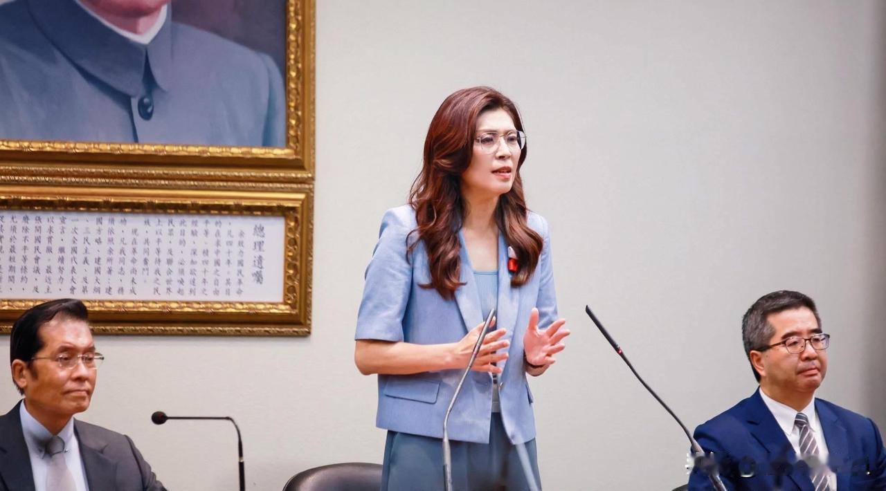 谈“军购”立场 ，郑丽文：我们不可能通过1.25兆“死了这条心”

台立院“军购