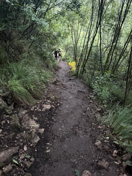 有趣还得是野生地形