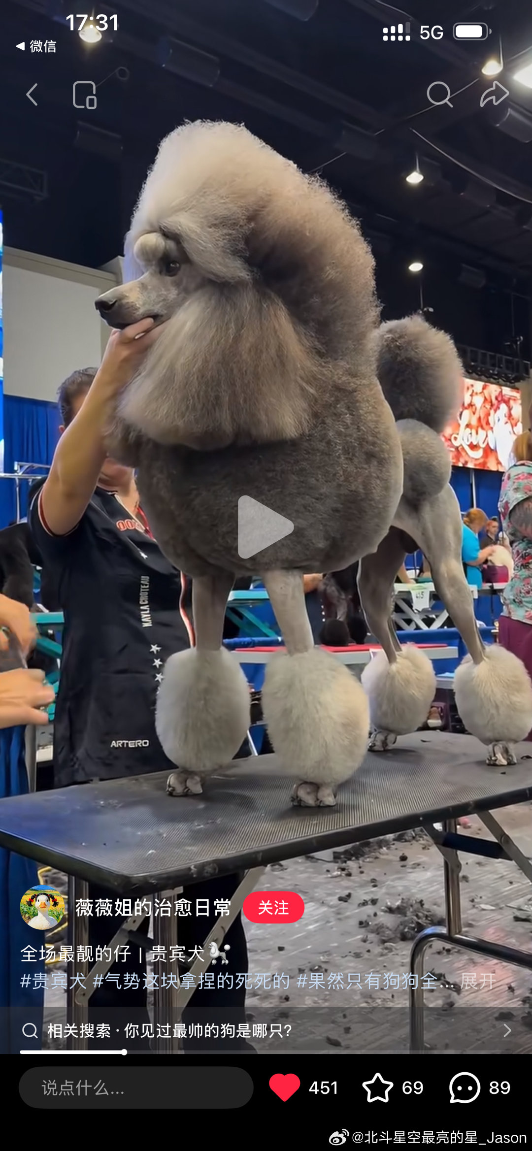 这是不是世界设计狗大赛太有节目了 