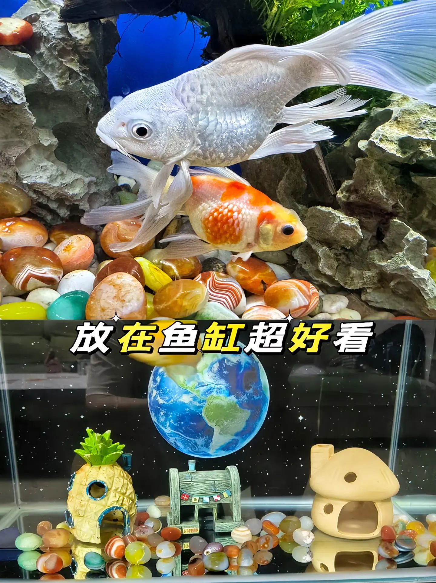 好漂亮的石头啊，放在鱼缸超好看