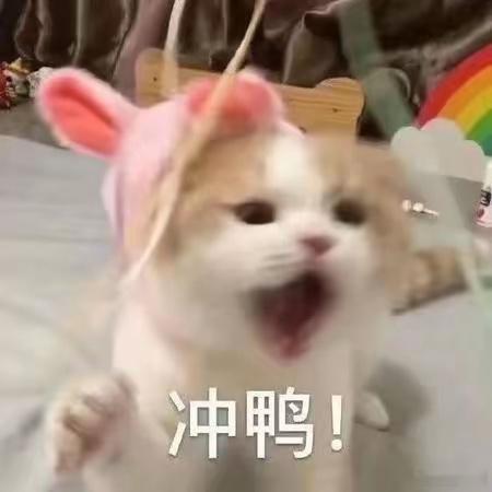 博君一肖 早上好吖～复工第一天大家觉得怎么样哇～ 