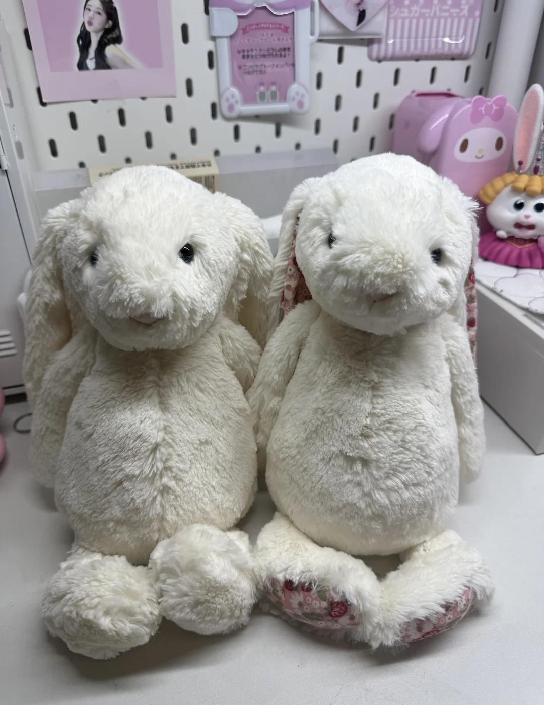 出两只邦尼兔