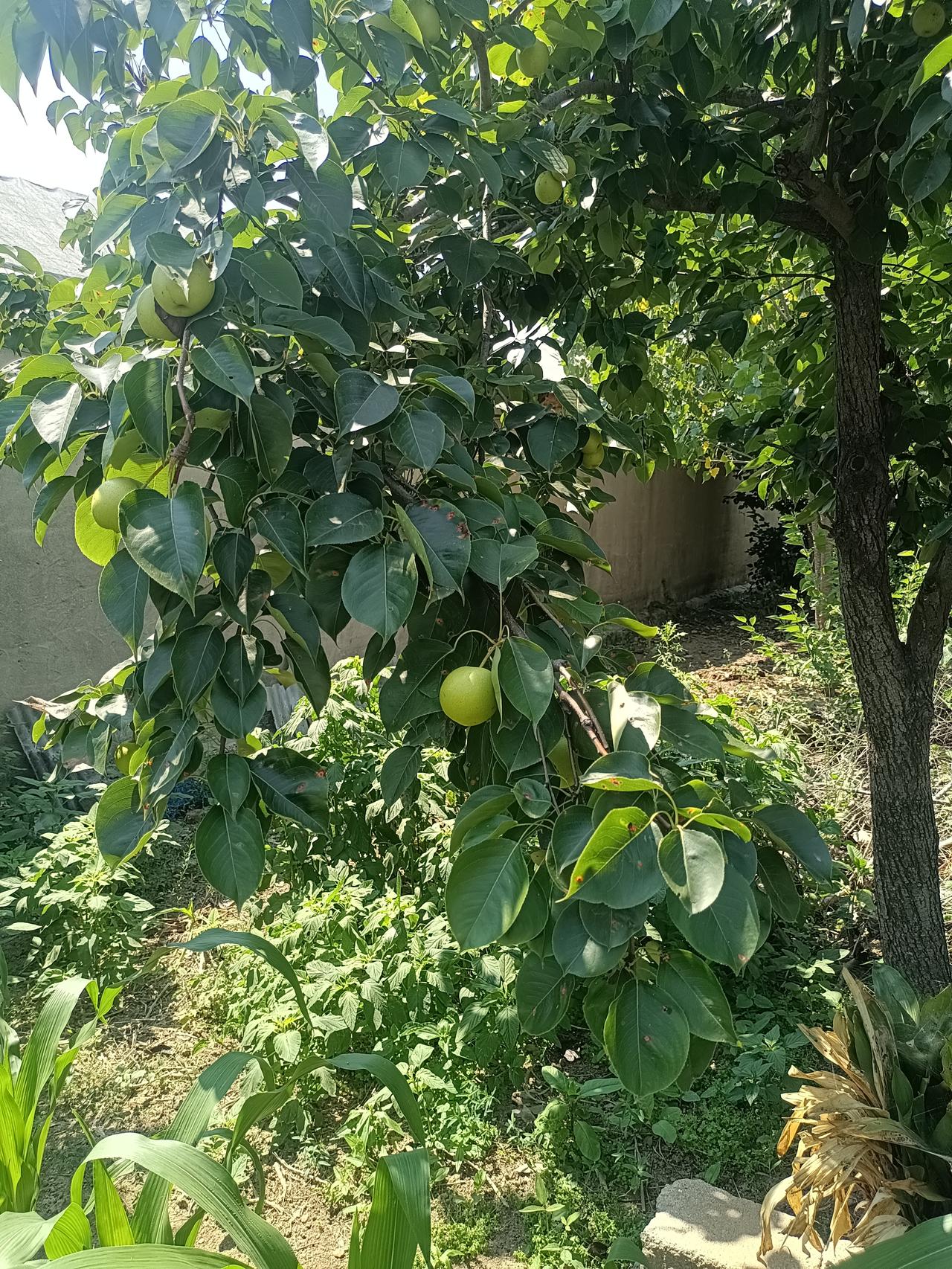 一位商业大佬说得很直接：“男人要成长，第一步就得抛开那些不切实际的幻想。美女说白