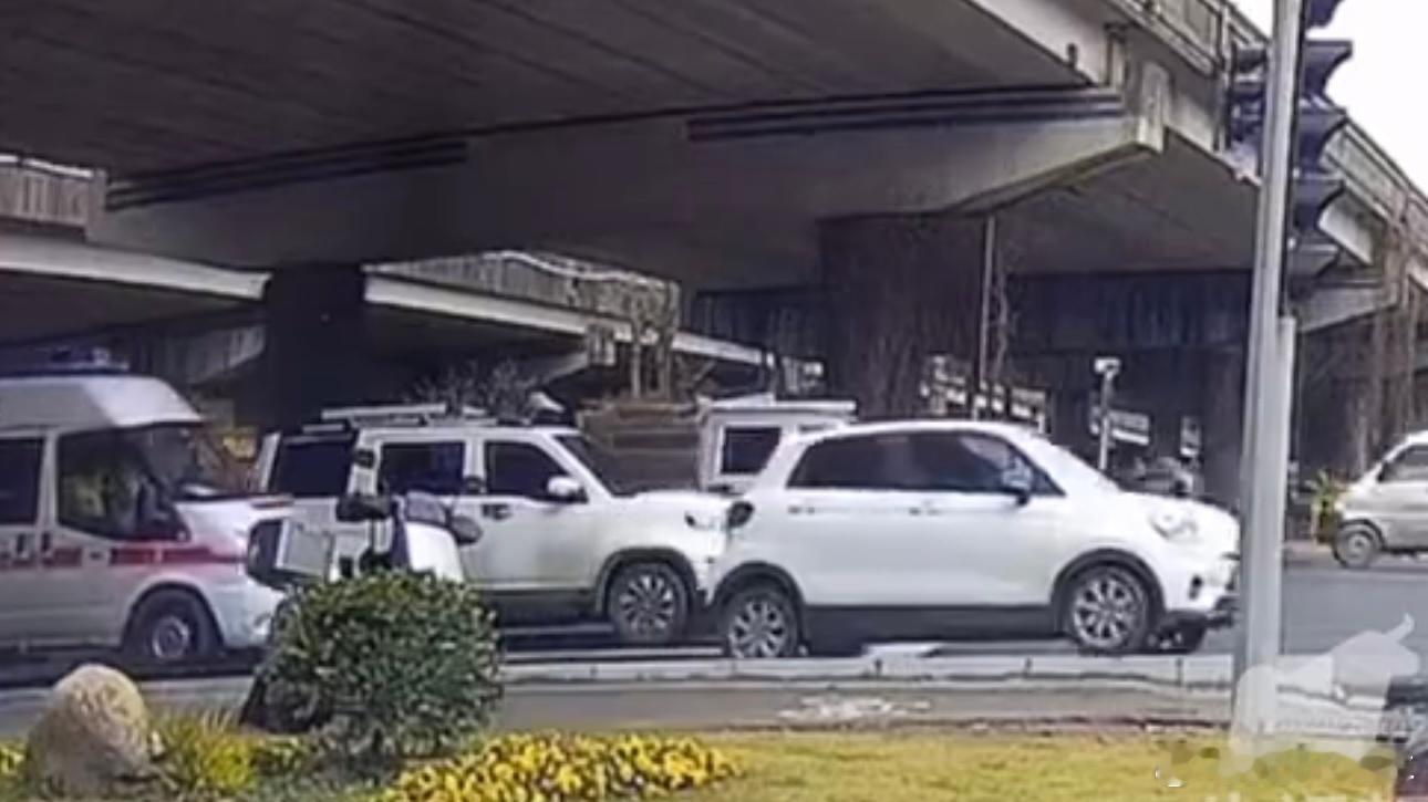 为了让路给救护车，把自己的T03担在了路肩上的这位车主，被零跑找到了，并且送了她