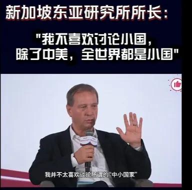新加坡东亚研究所所长说，
“我不喜欢讨论小国，他说除了中美，全世界都是小国。”