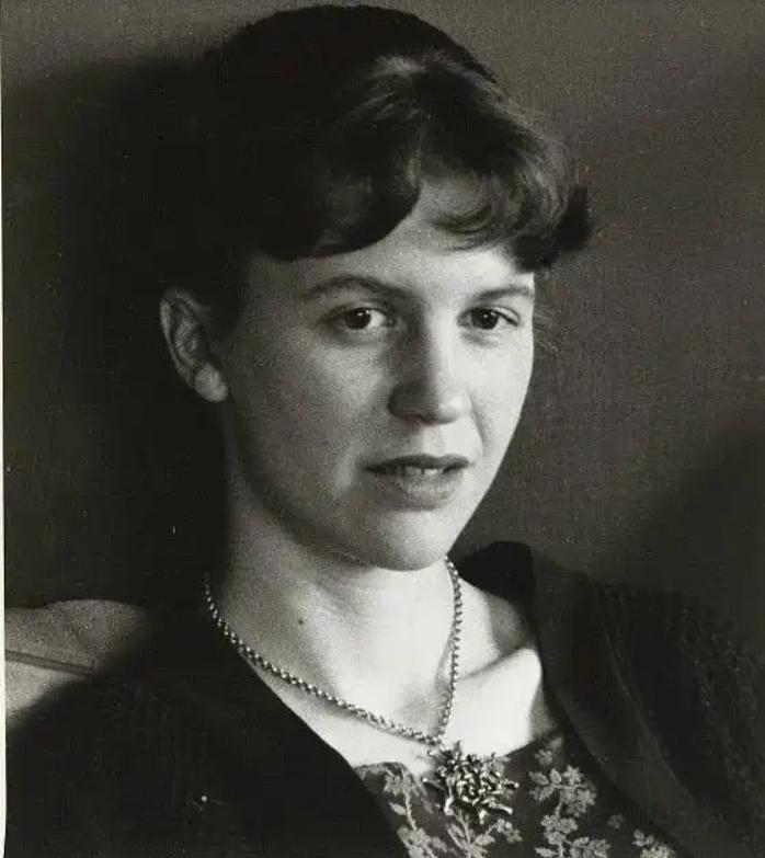 1963年，30岁美国诗人西尔维亚·普拉斯，在一番精心打扮后，将上半身投入了电烤