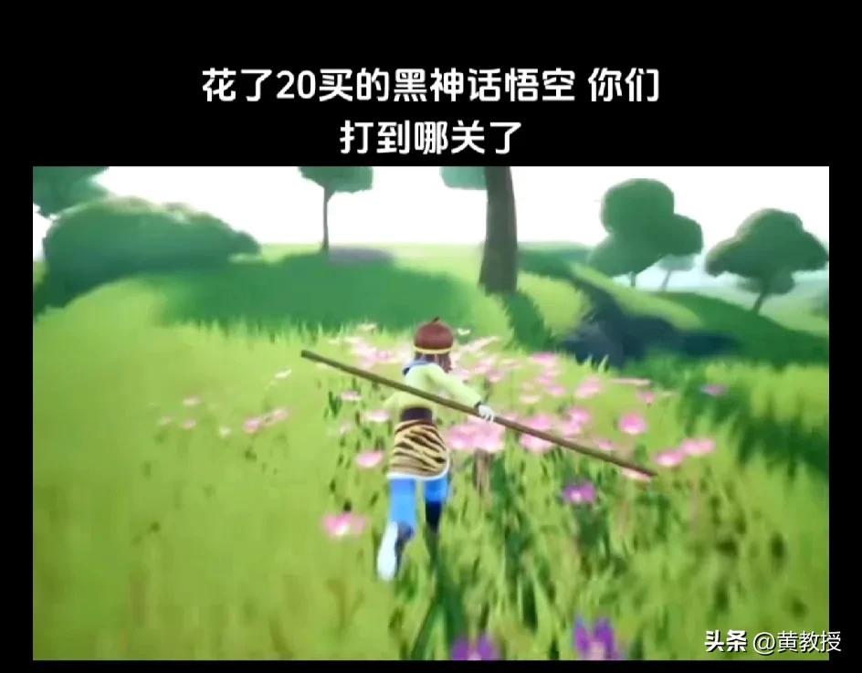 老徐@老徐说道 
他家小朋友刚买的游戏🎮
帮忙看看是正版的吗？