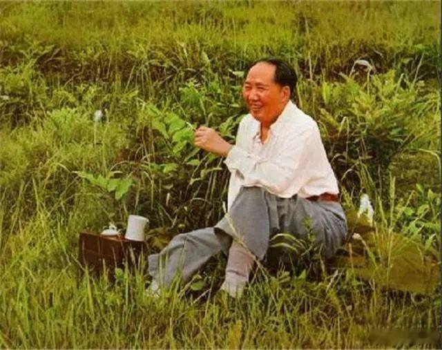 【九九缅怀、久久缅怀历史回声 】今天是植树节 ，1956年，毛主席曾号召青年要植