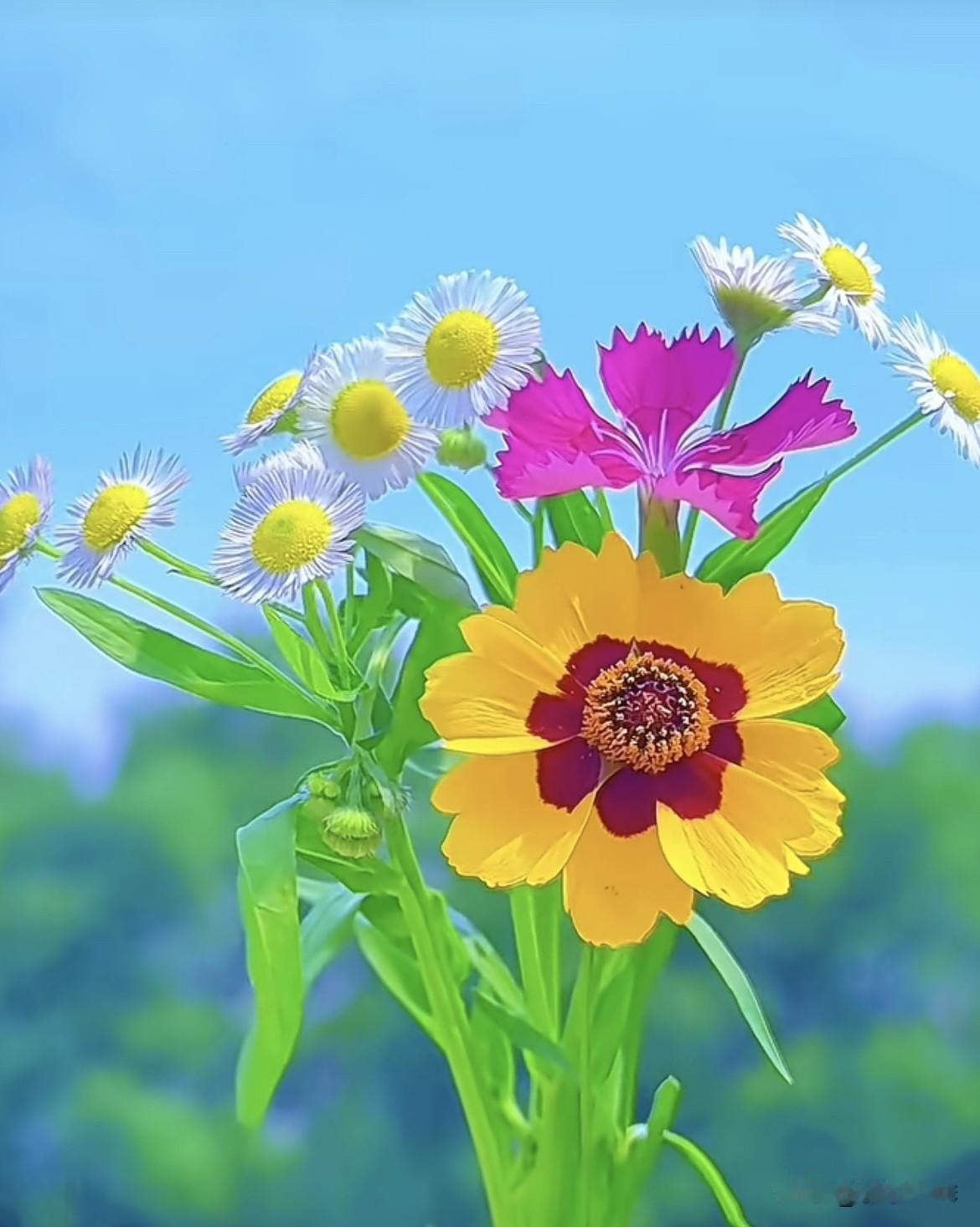 上联：圆圆缺缺天上月
  下联：浮浮沉沉水中花