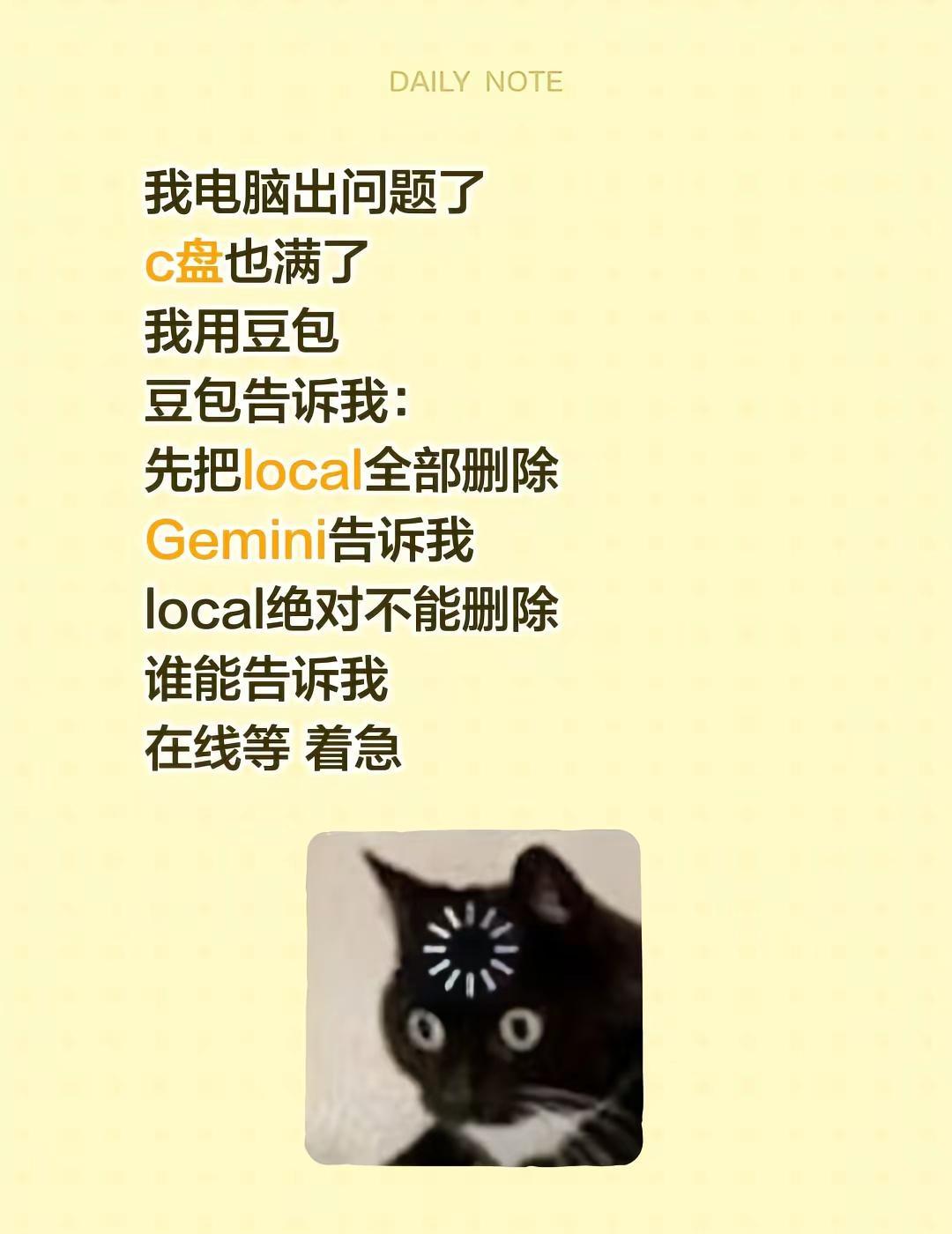 我电脑出问题了c盘也满了我用豆包豆包告诉我：先把local全部删除Gemini告