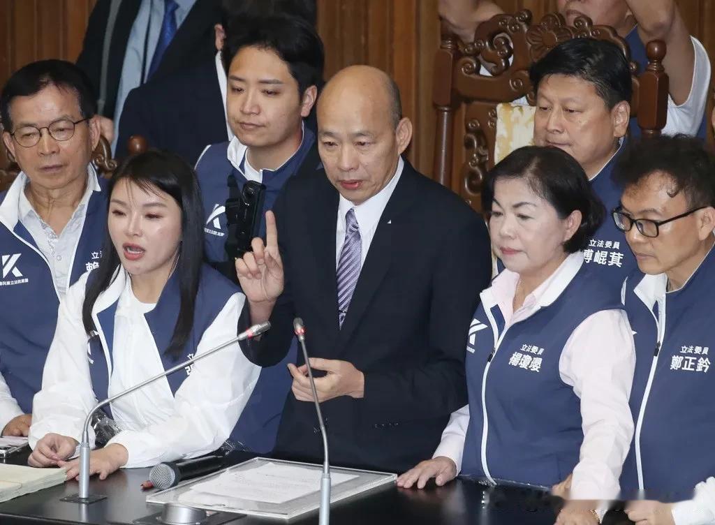 杨琼璎内讧张嘉郡:用词太重
6月10日审查农业部门预算时，张嘉郡出主审议，针对给