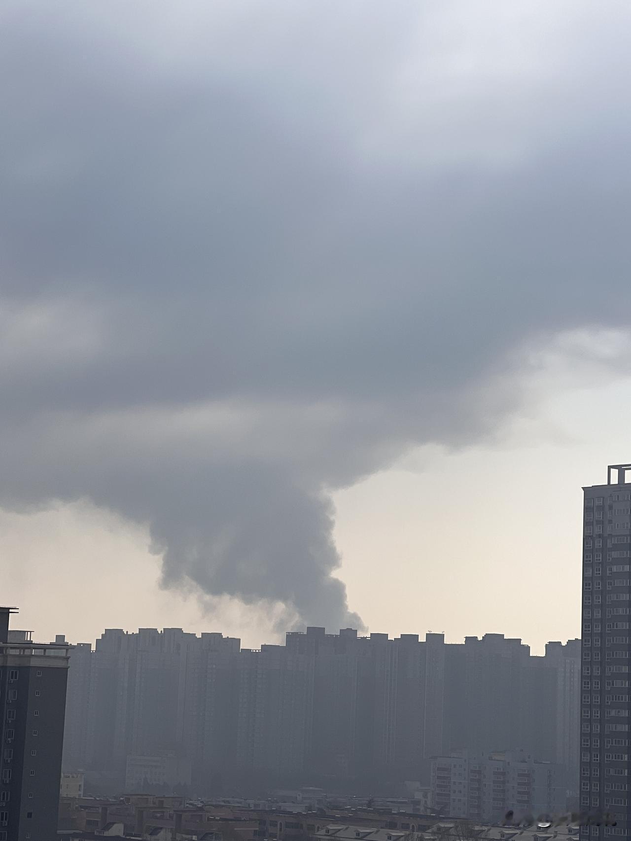 坐标：西安东郊幸福林带东南侧
遮天蔽日的浓烟
哎
冬季气候干燥
温度奇高
是要注