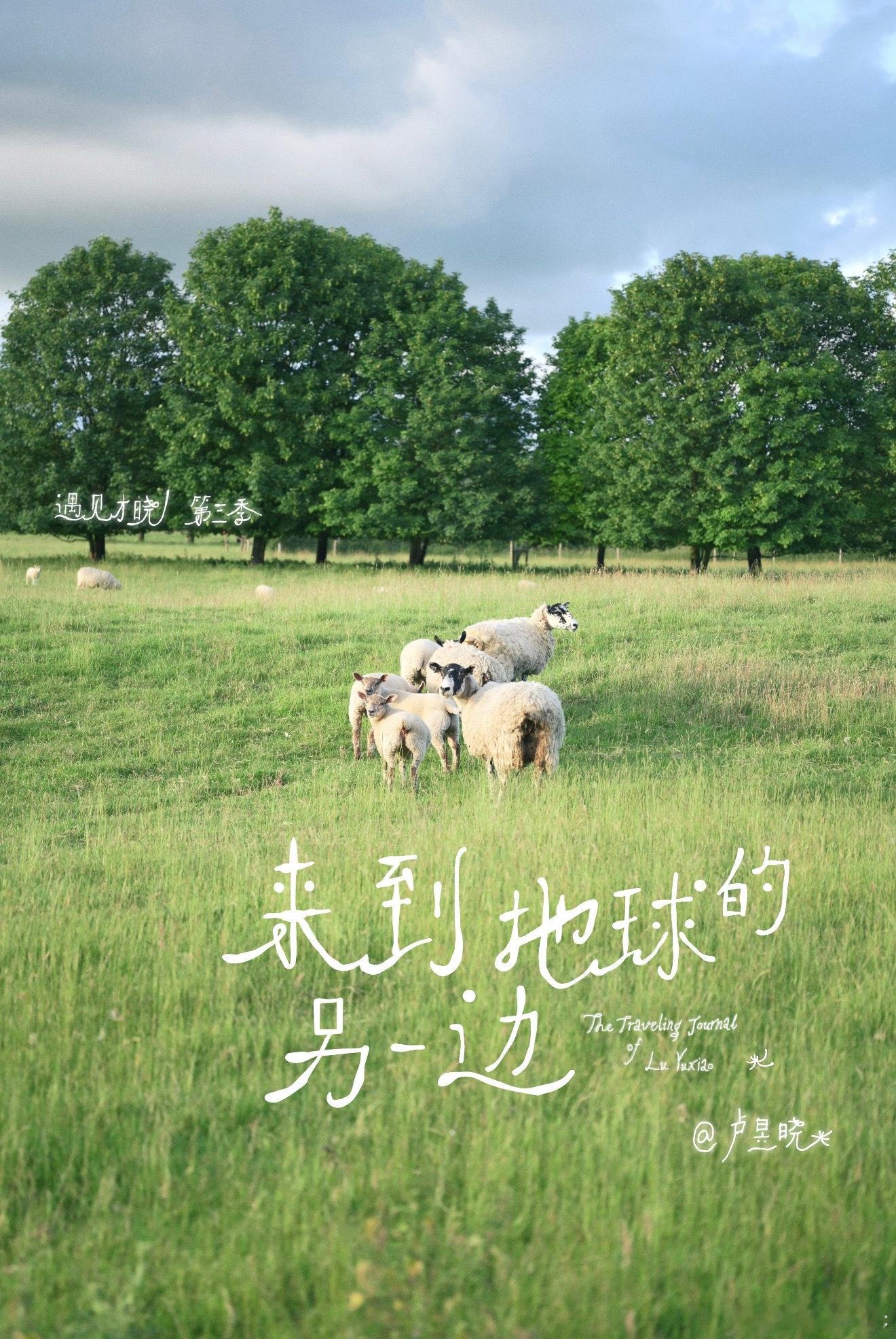 卢昱晓[超话]  遇见才晓第三季即将来袭！ ​​​